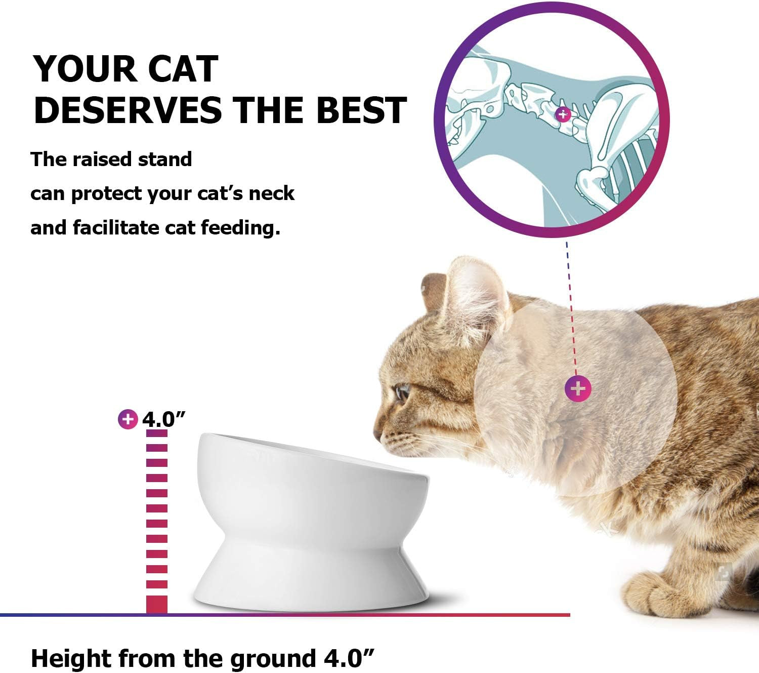 Y YHY Elevated Cat Food Bowl, Raised Food and Water Bowl for Cat and Small Dog, Tilted Ceramic Water Bowls No Spill,15Oz, Dishwasher Safe