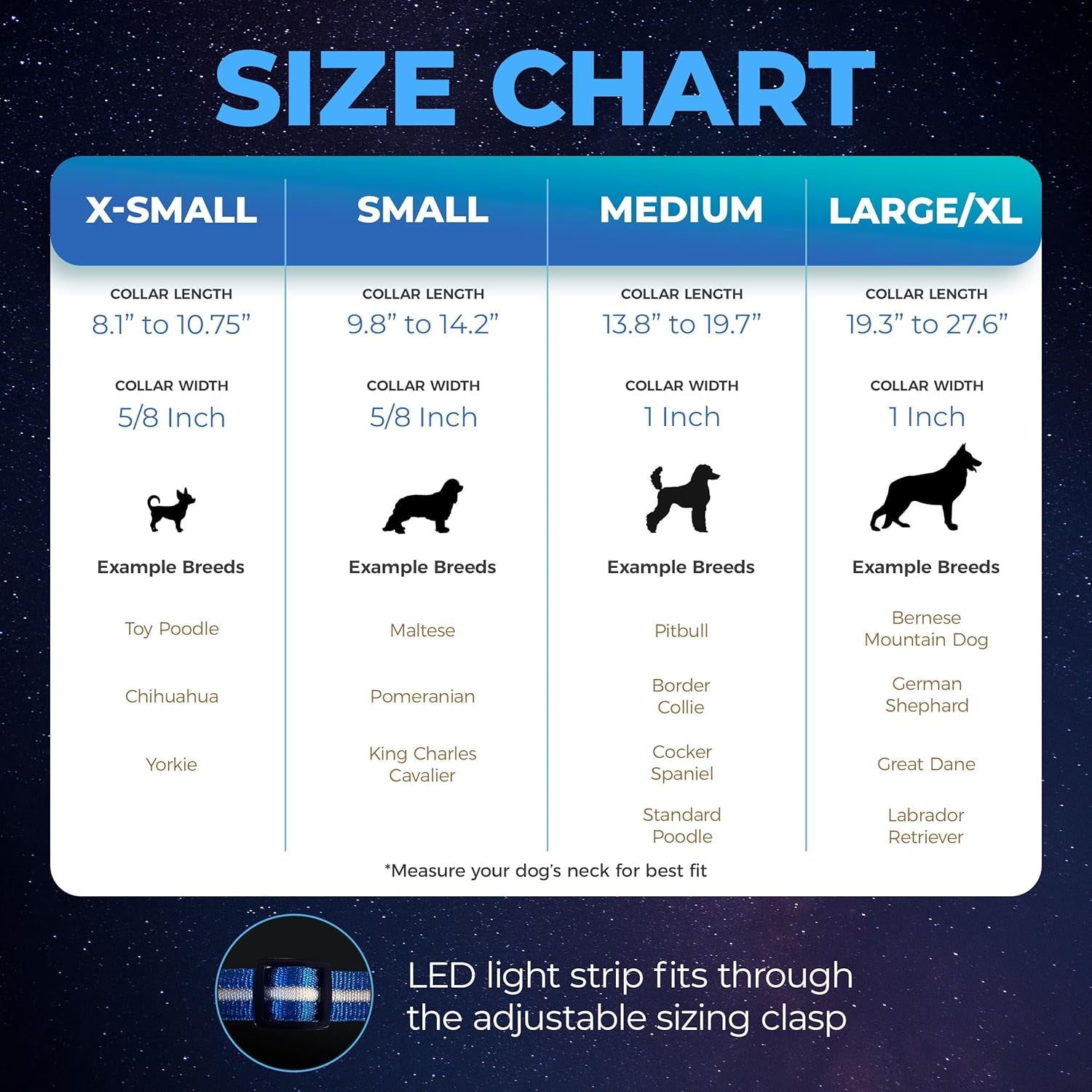 Blazin Light up Dog Collar - the Original LED Dog Collar - USB Rechargeable - Waterproof - 1,000 Feet of Visibility - Dog Collar Light for Small, Medium, Large Dogs - US Brand