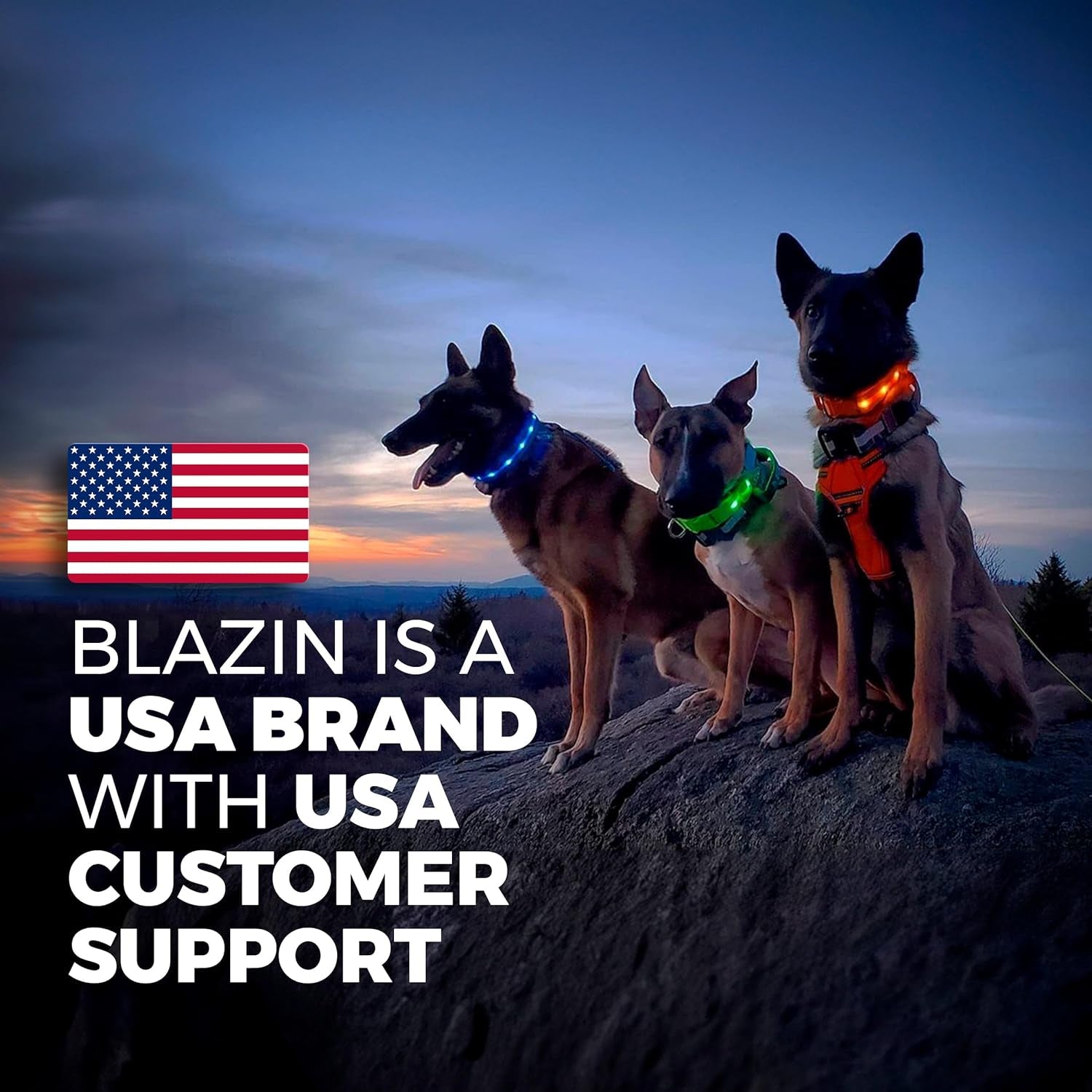 Blazin Light up Dog Collar - the Original LED Dog Collar - USB Rechargeable - Waterproof - 1,000 Feet of Visibility - Dog Collar Light for Small, Medium, Large Dogs - US Brand