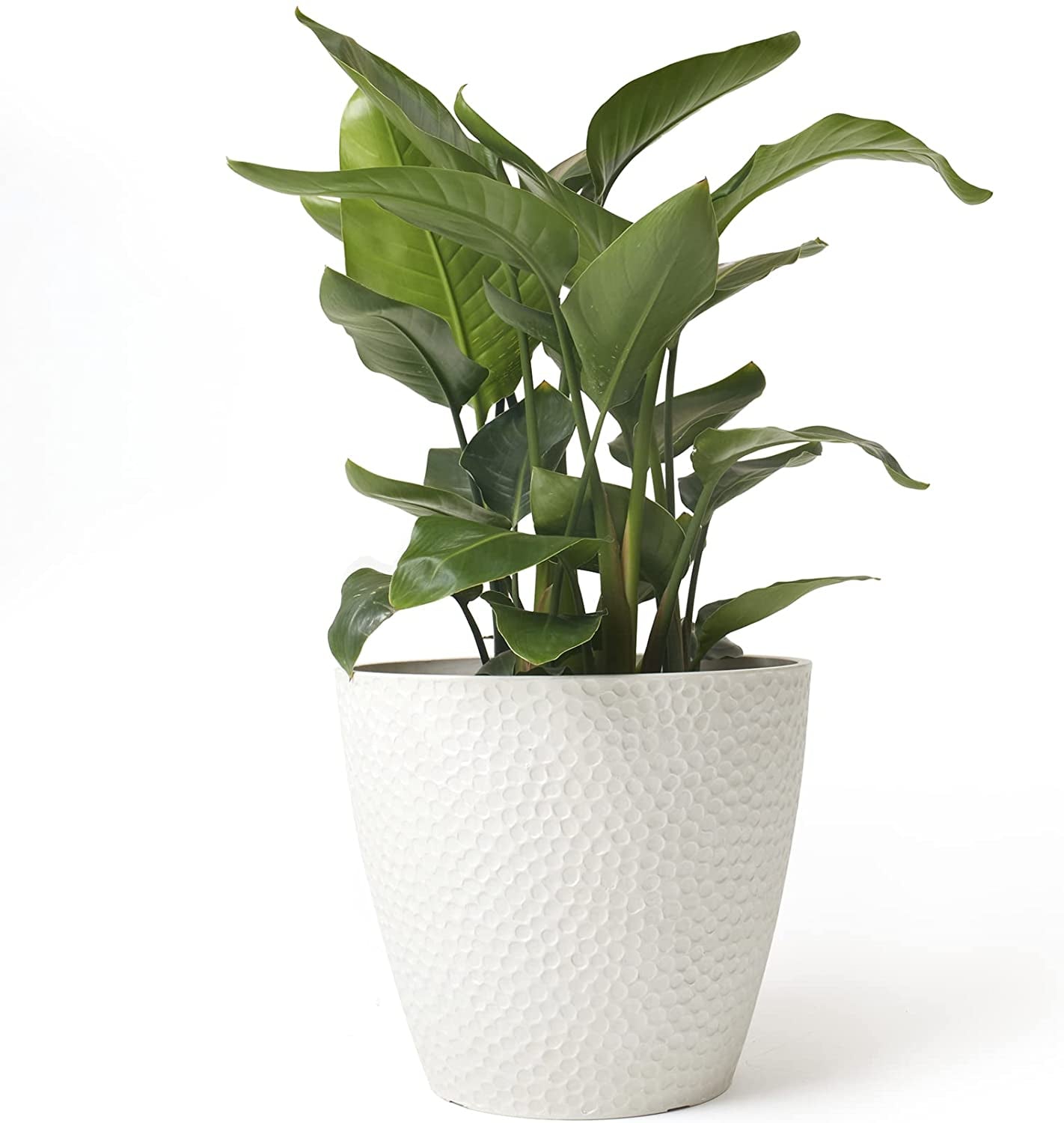 LA JOLIE MUSE Outdoor Indoor Tree Planters,14 Inch Large Planter Flower Pots,Modern Decorative White Planter Pot for House Plants,Honeycomb