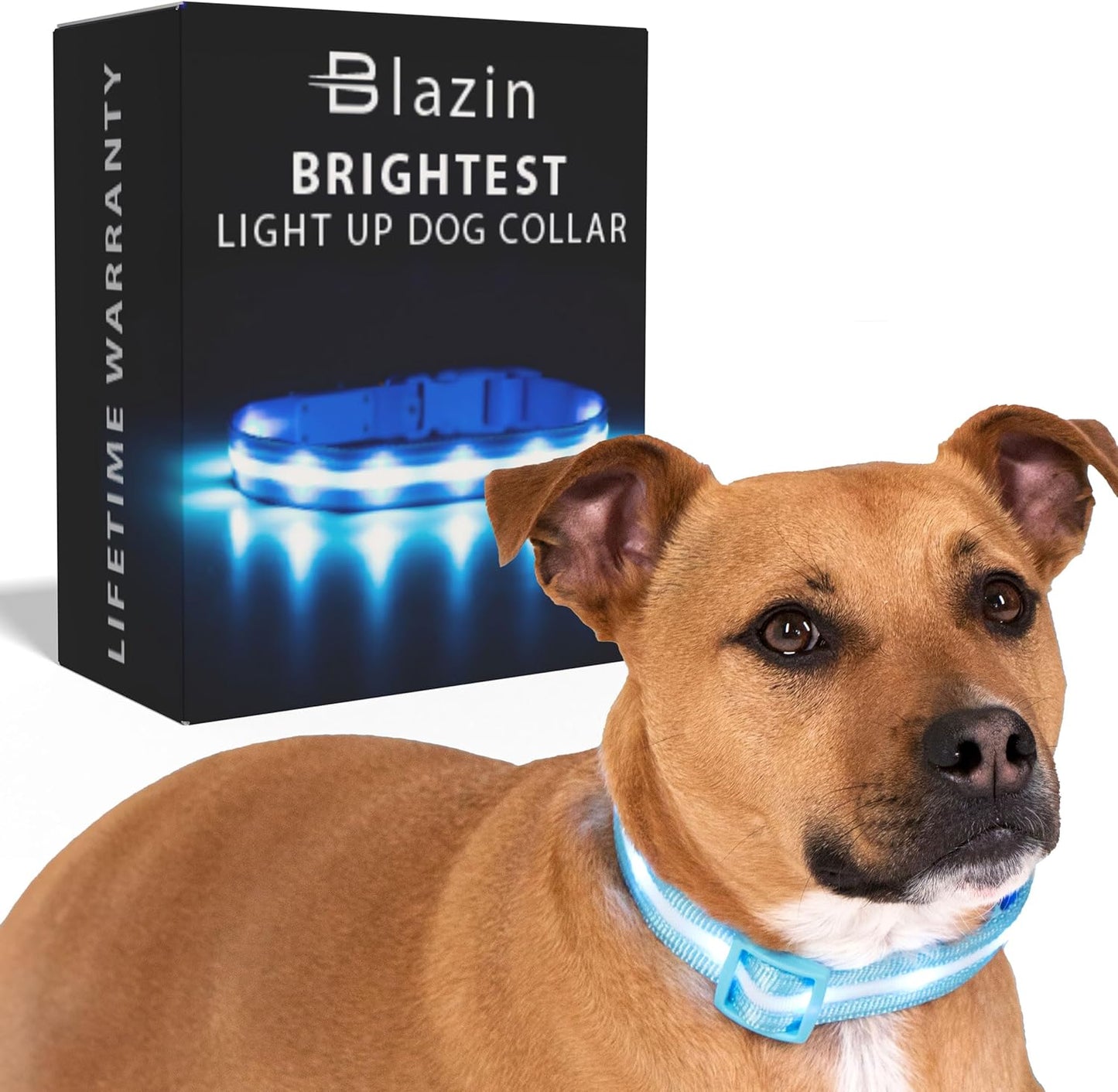 Blazin Light up Dog Collar - the Original LED Dog Collar - USB Rechargeable - Waterproof - 1,000 Feet of Visibility - Dog Collar Light for Small, Medium, Large Dogs - US Brand